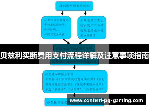 贝兹利买断费用支付流程详解及注意事项指南