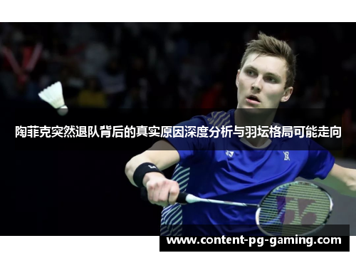 陶菲克突然退队背后的真实原因深度分析与羽坛格局可能走向